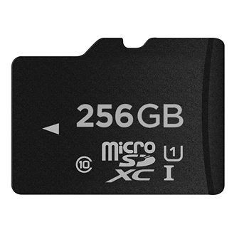 SD Memory Card